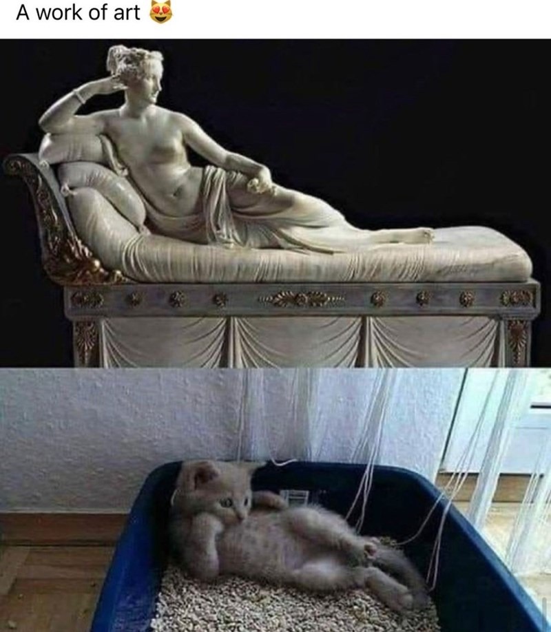 Paint me like one of your French kittens! - meme