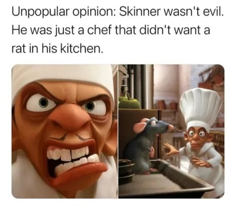 Unpopular opinion about Skinner - meme