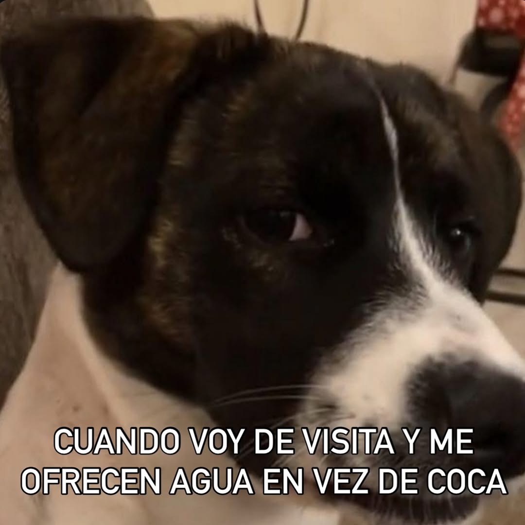 cuando voy de visita y me ofrecen agua en vez de coca - meme