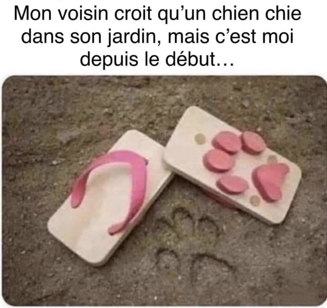 Spoiler : c’était pas le chien - meme