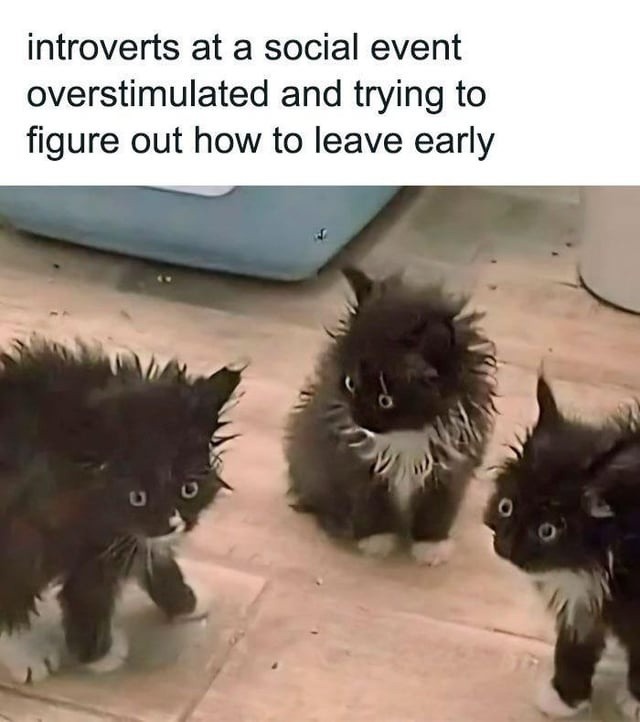 Introverts calculating the earliest polite exit - meme