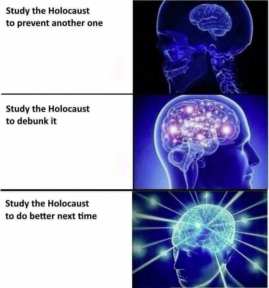 dongs in a holocaust - meme