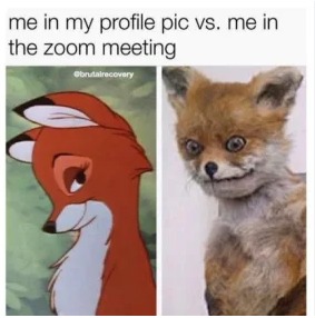 Funny Fox - meme