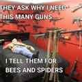 Bees and spiders