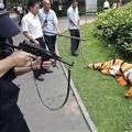 Hope the guy with the gun doesn't get Tigger happy.