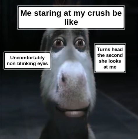 Me staring at my crush be like... - meme
