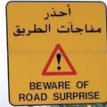 Tradução: Cuidado com a surpresa na estrada