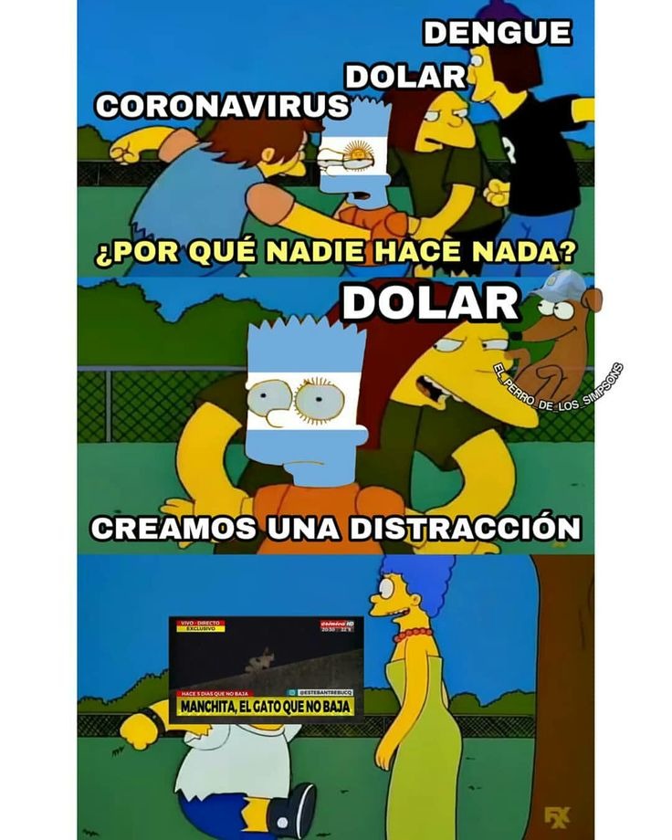 Memes de los simpson y Argentina