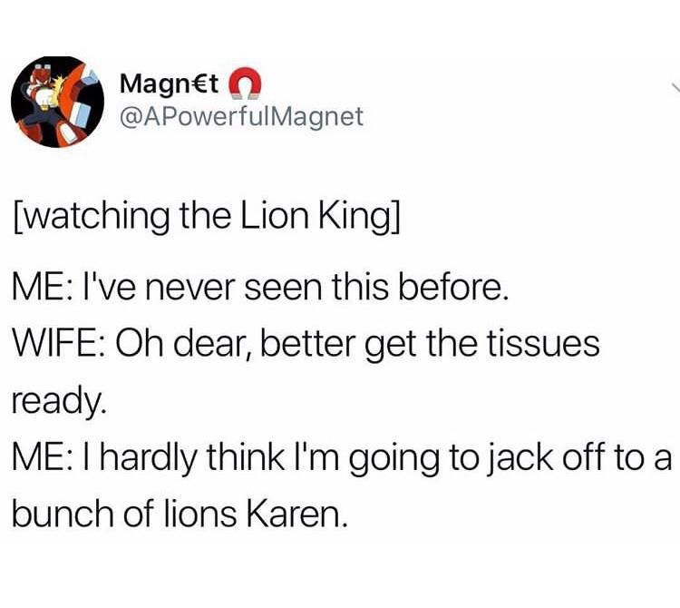 The Lion King - meme