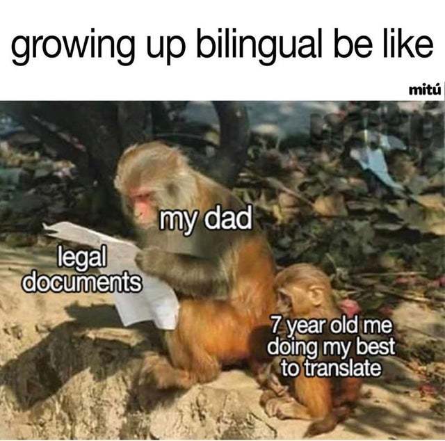 Growing up bilingual be like - meme