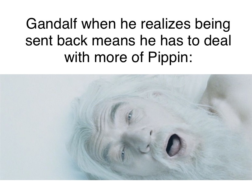 Here's some more lotr memes for ya