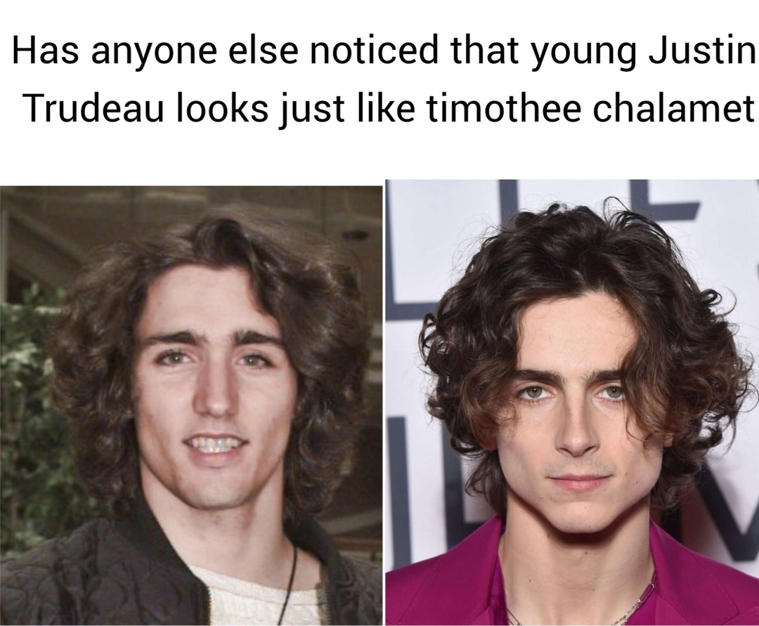 Justin Trudeau vs timothee chalamet - meme