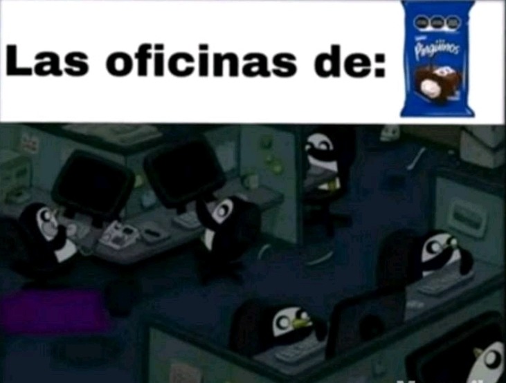 Real no fake - meme