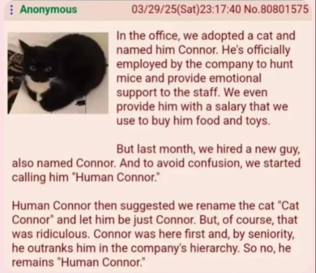 Cat Connor outranks Human Connor and that's company policy - meme