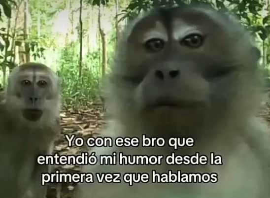 Yo con ese bro - meme