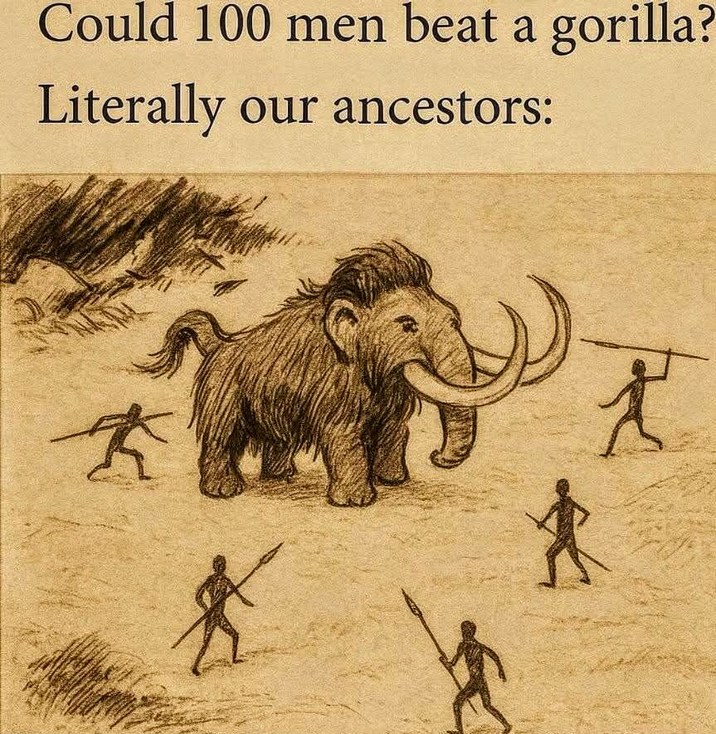 Nossos ancestrais - meme