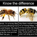 know the difference
