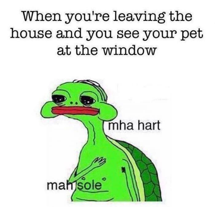 My dog whines when I leave - meme