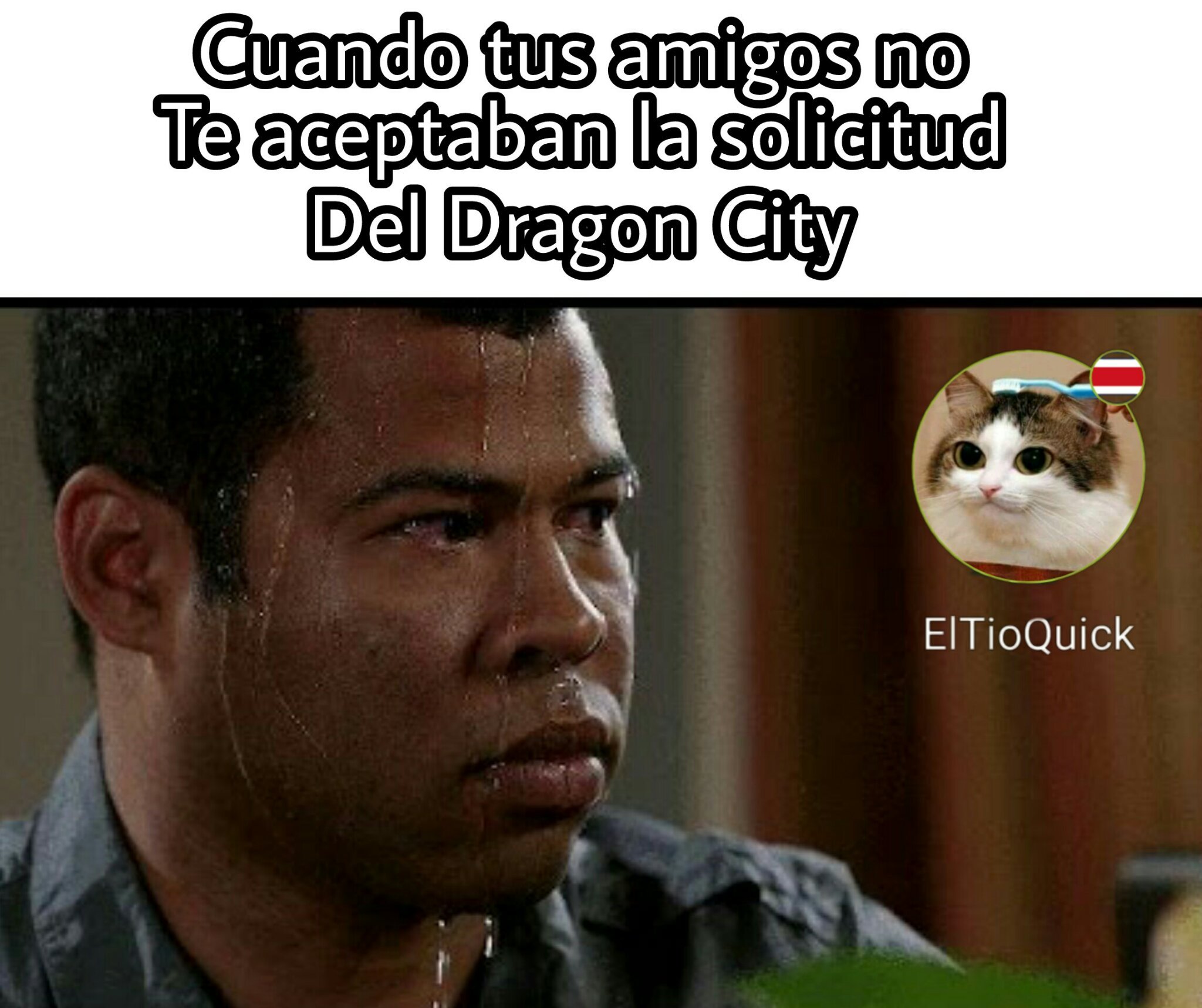 Dragon City - meme