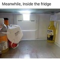 Corona Beer in the fridge be like
