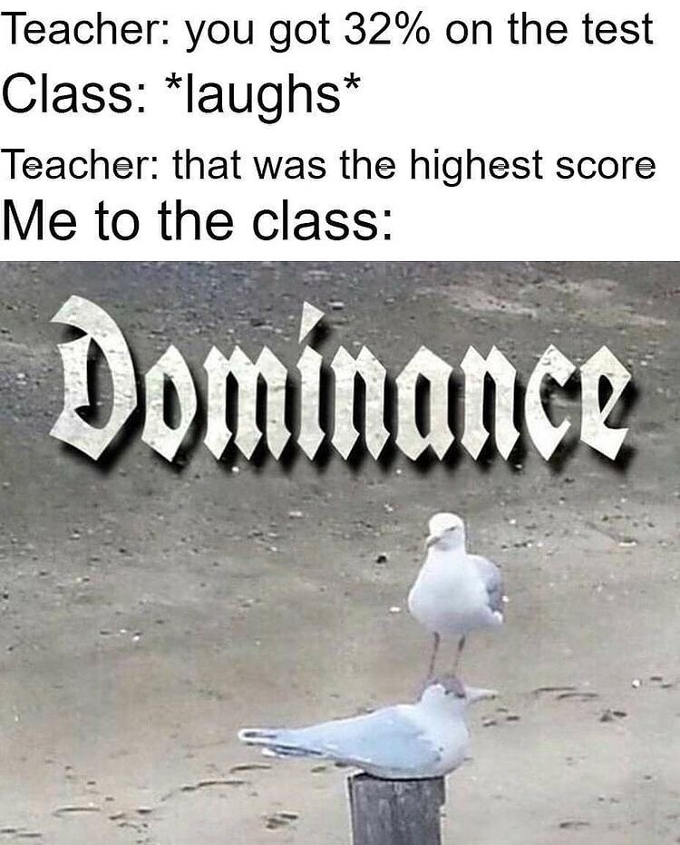 dominance - meme