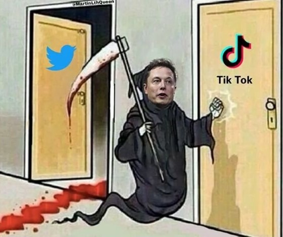 Elon Musk a por Tiktok ojala - meme