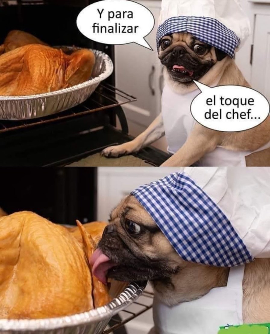 Perrito cocinero - meme