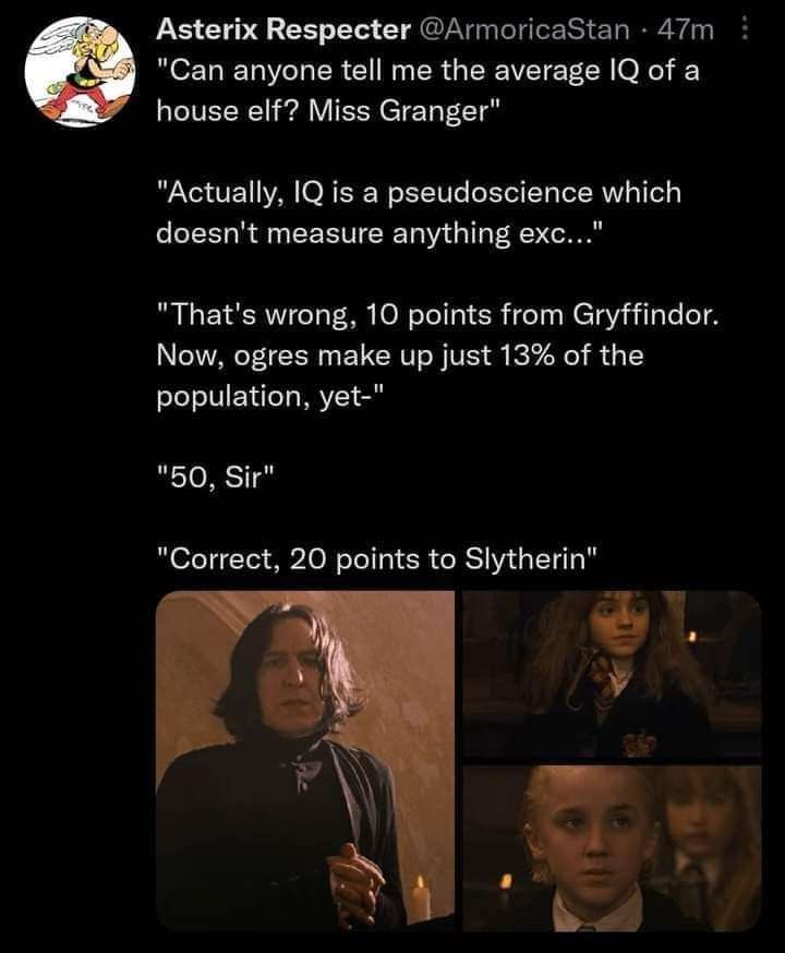 Leaked transcript for Hogwarts Legacy - meme