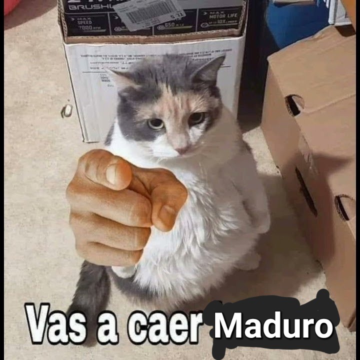 La gente luego de ver el último video de VisualPolitik: - meme