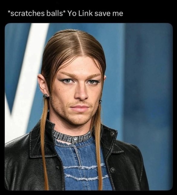Zelda movie - meme