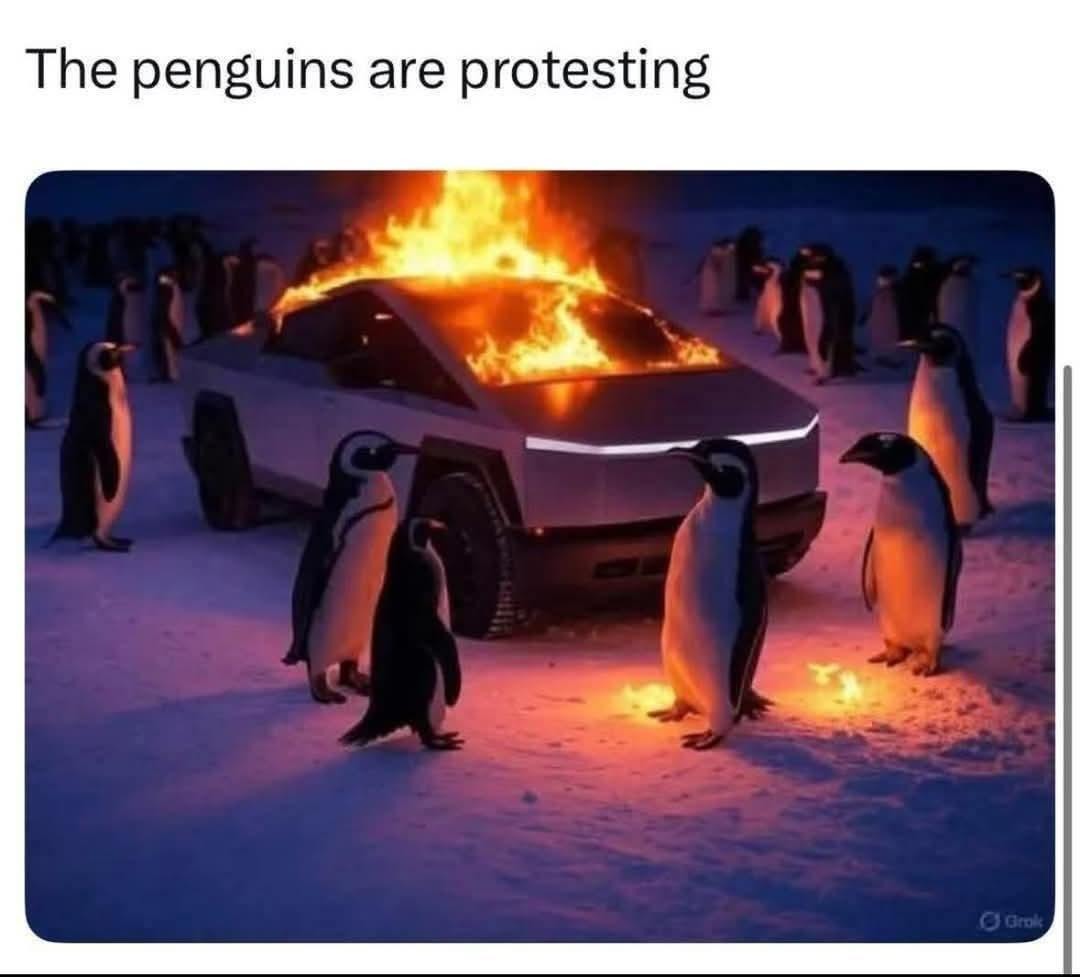 The penguins have officially gone on strike - meme