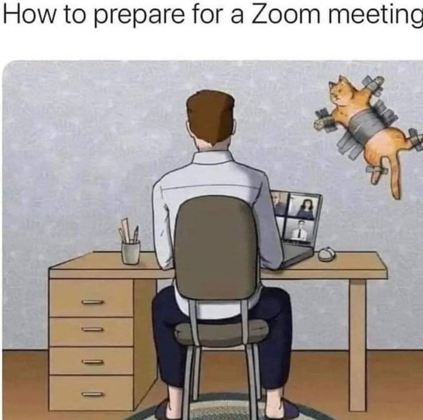 Zoom Ready... - meme