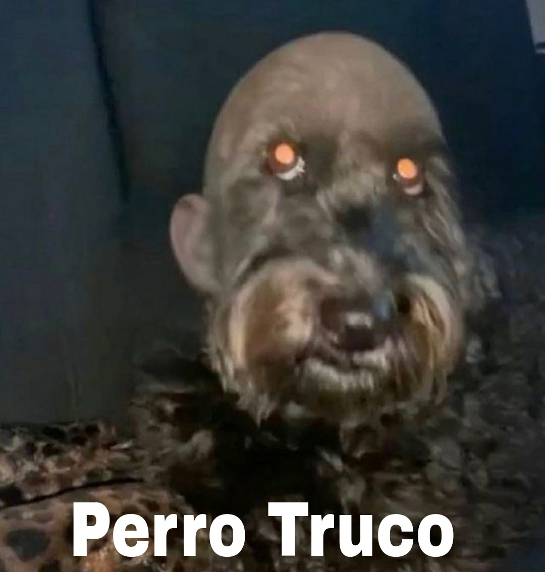 Perro Truco - meme