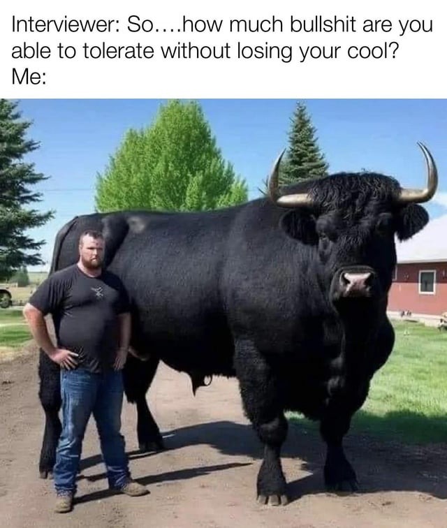 Giant bull - meme