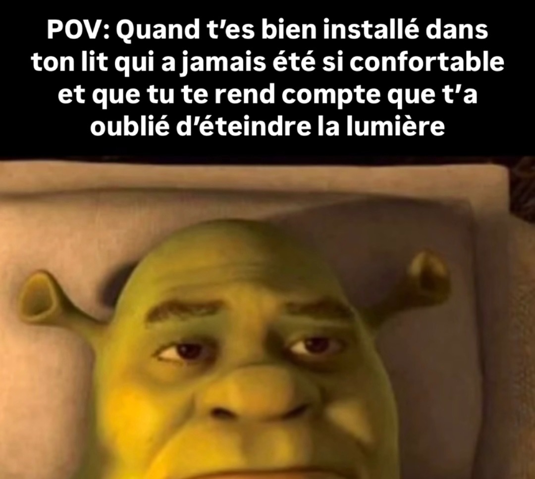 T’es bien calé dans le lit et là... la lumière est encore allumée - meme