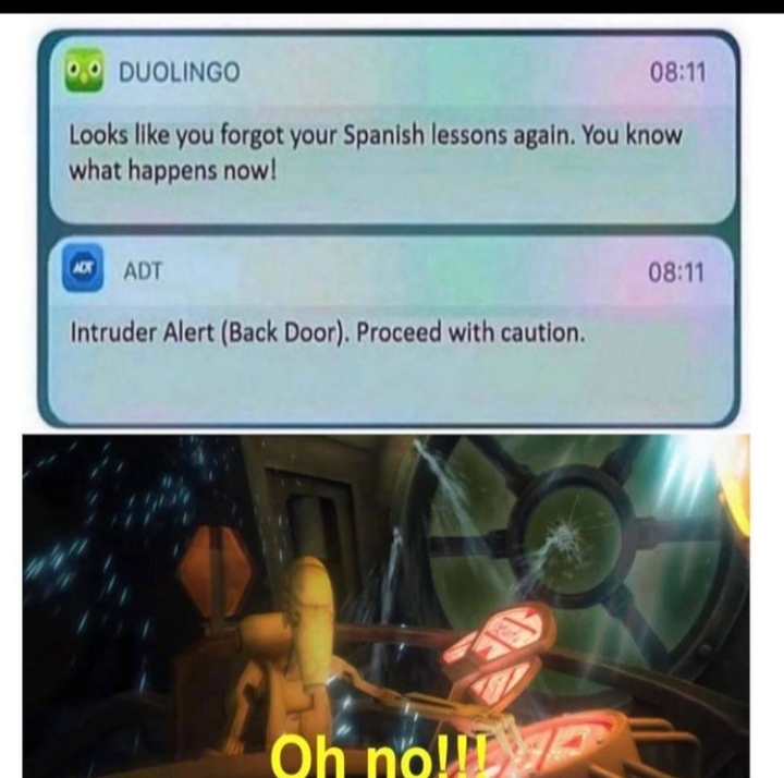 Duolingo be like: - meme