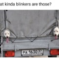 Put on your borkers