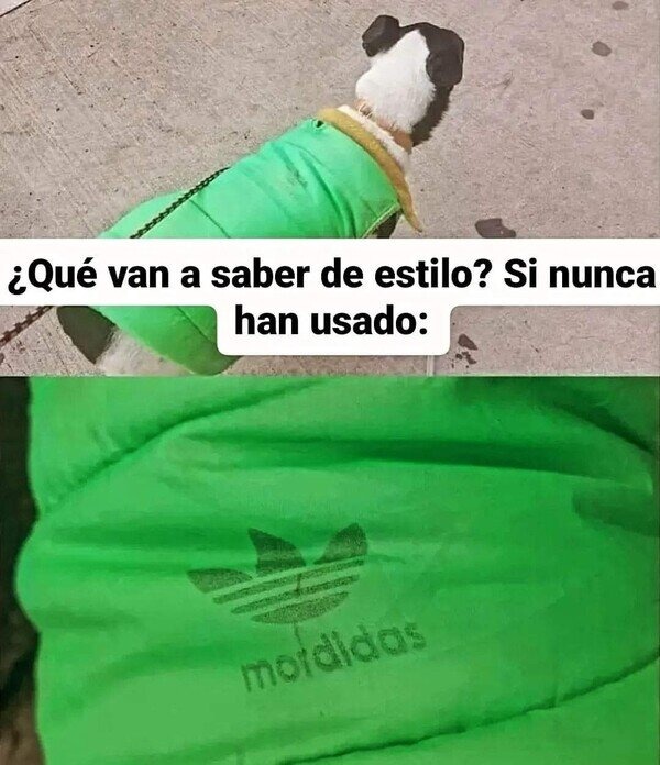 Mordidas - meme
