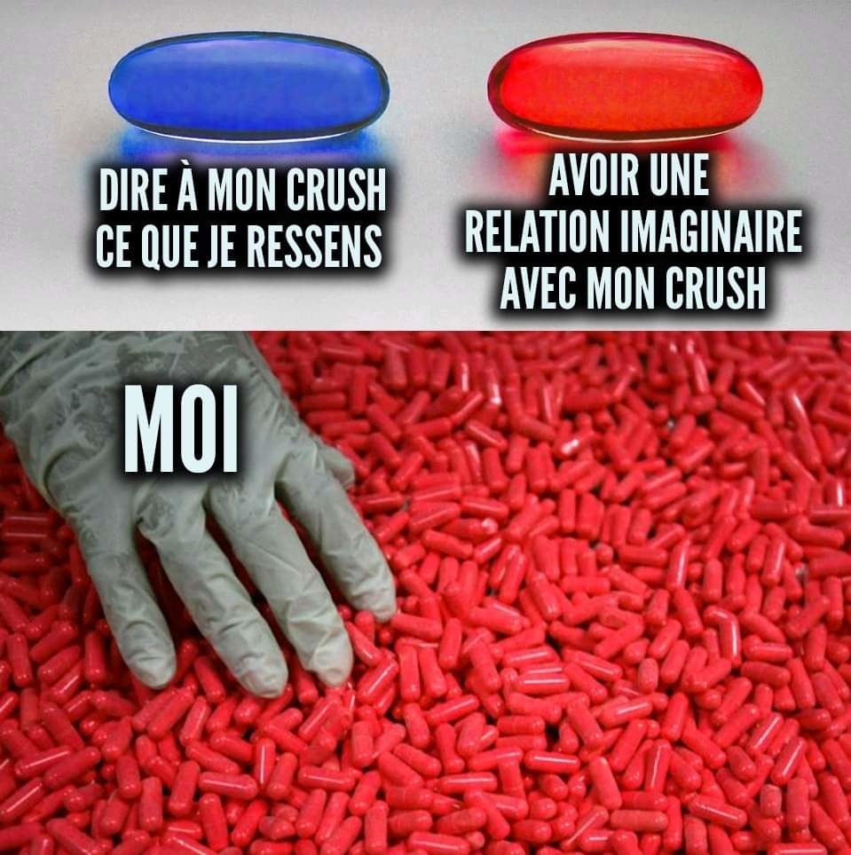 Pilule bleue - meme