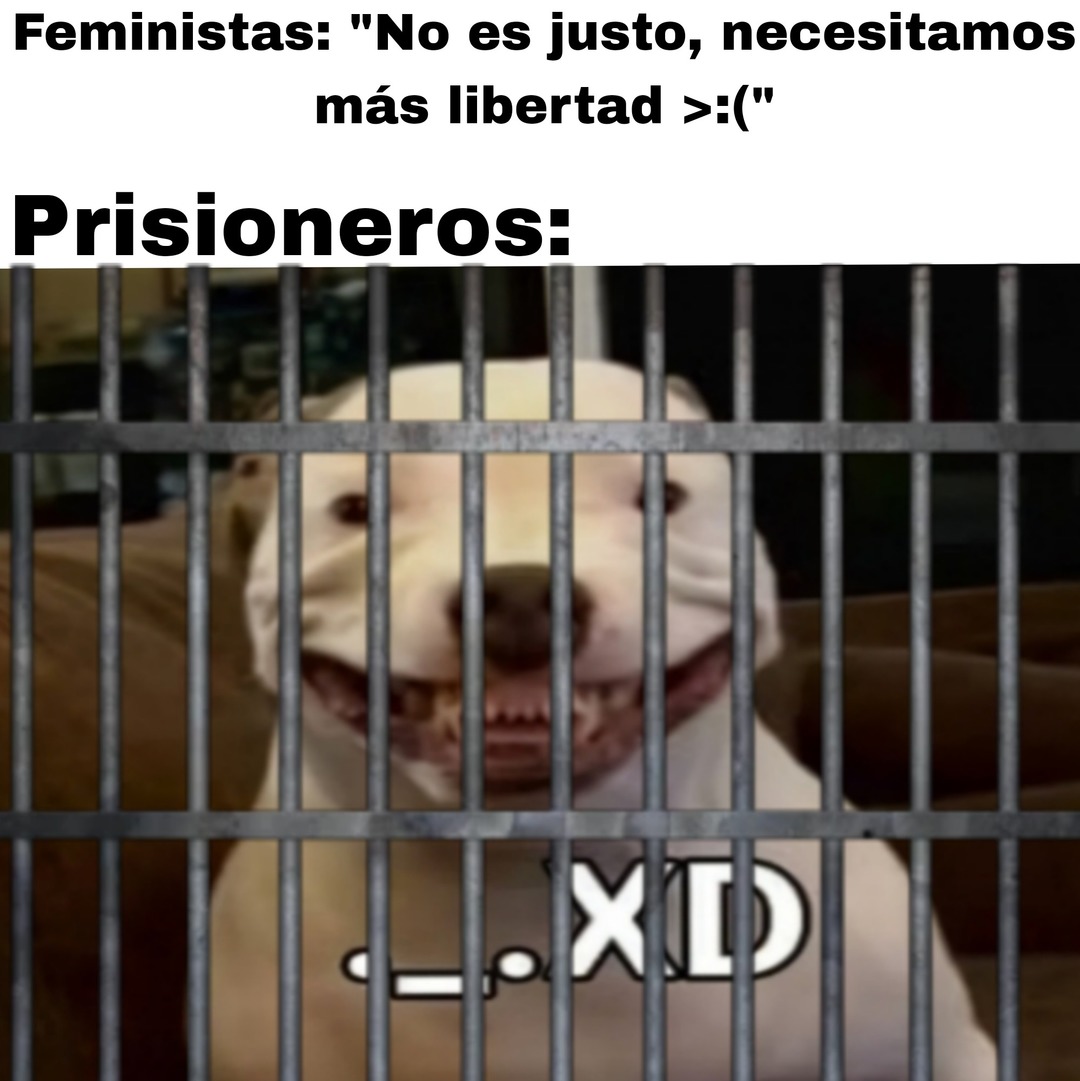 Necesitamos más libertad <:( - meme