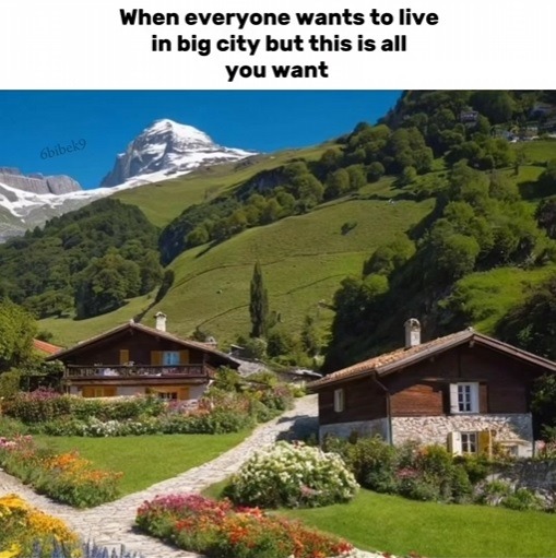 Leave the cities - meme