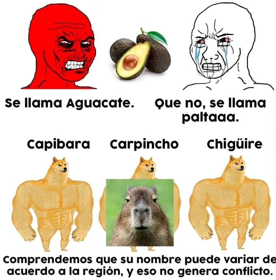 Supremacía de la capibara - meme