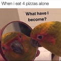 eating four pizzas turns you into a bird