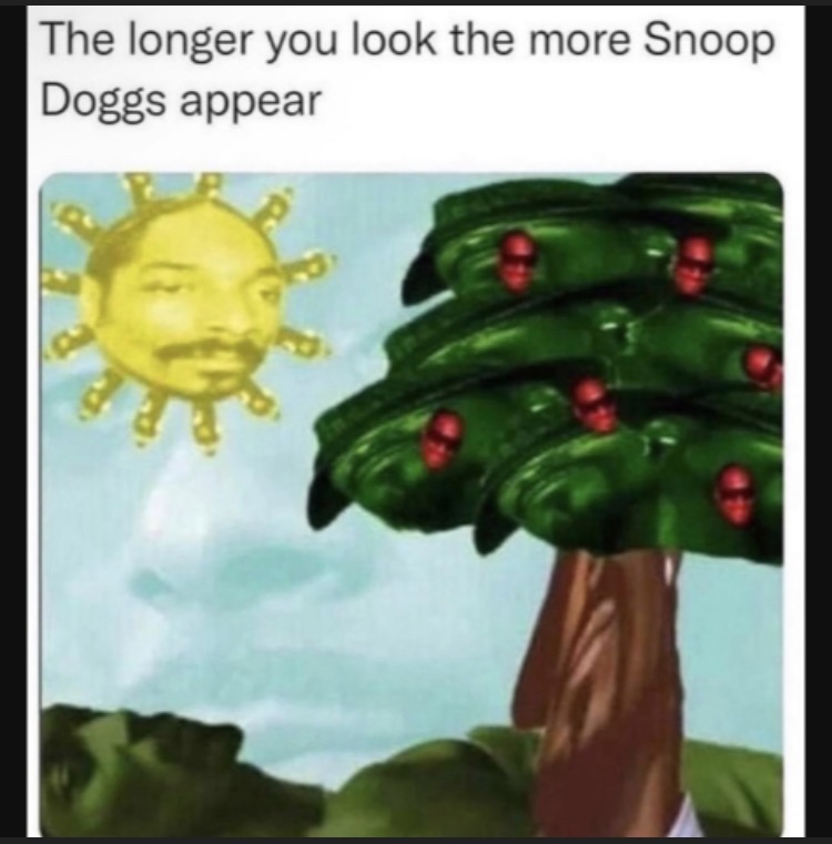 ITS TRUE THERE ARE SNOOP DOGGS EVERYWHERE - meme