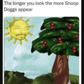 ITS TRUE THERE ARE SNOOP DOGGS EVERYWHERE
