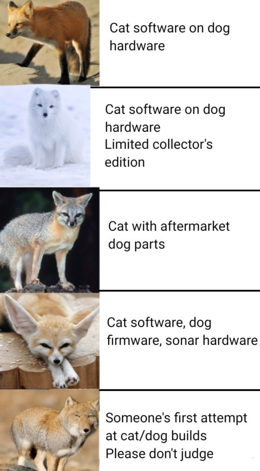 Cat software, dog hardware, chaos configuration - meme