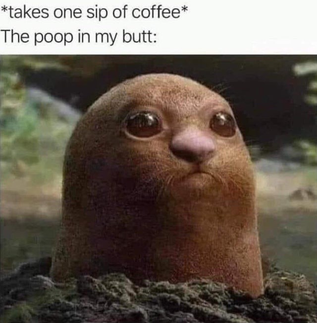 Coffee and poop - meme