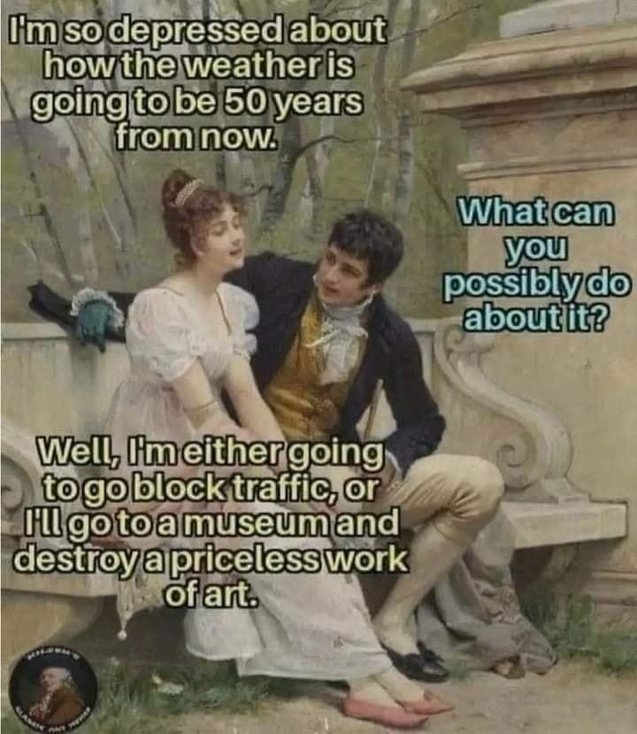 Gen Z Karen - meme