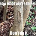 commented item thumbnail