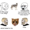 commented item thumbnail